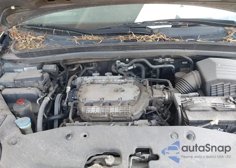 2006 Honda Odyssey Ex-L from USA, damaged, VIN 5FNRL38766B425489